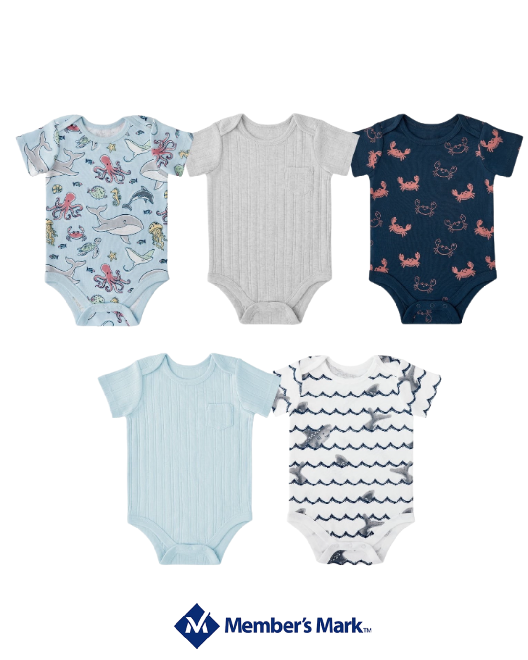 Set de 5 Bodis Mundo Marino